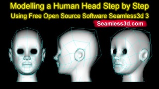 Modelling a Human Head Step by Step Using Free Open
            Source Software Seamless3d 3